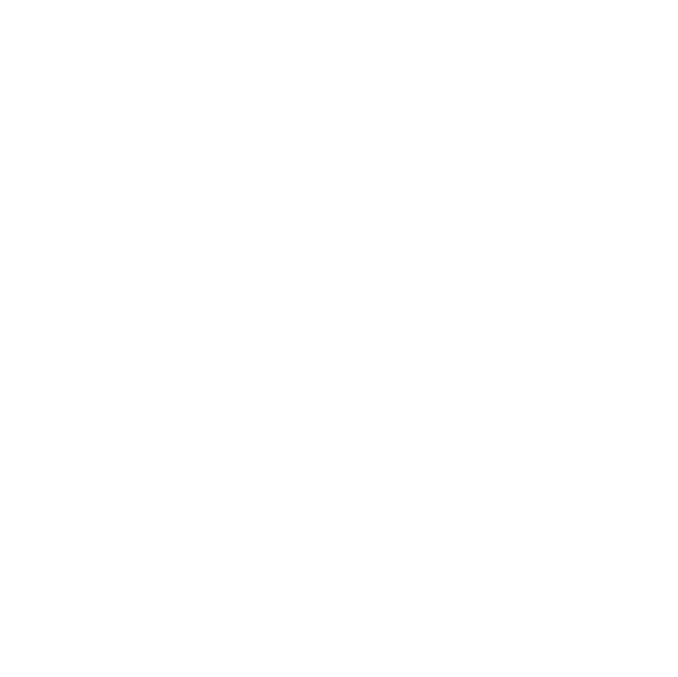 Terraform Logo