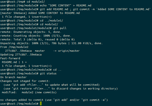 git submodule untracked content