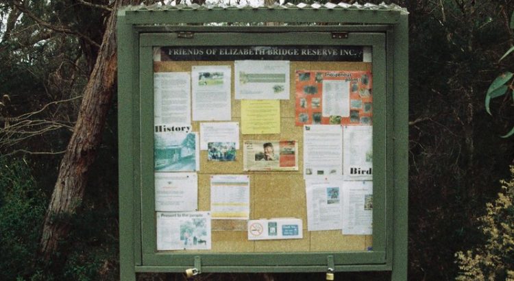 A green notice board in a country setting. It has leaflets and cards on it, although they are not readable in this image.