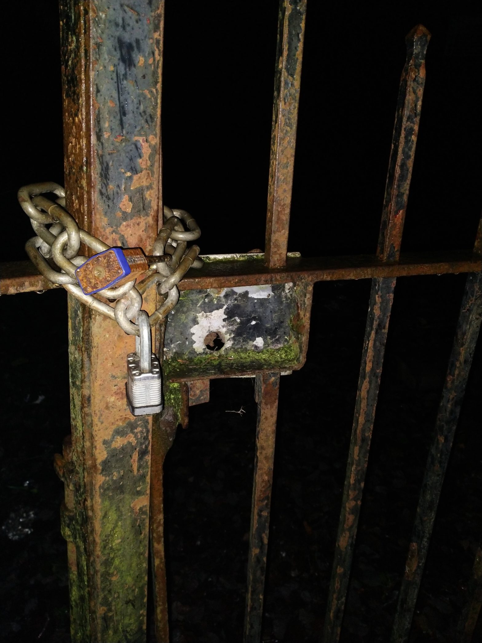 A padlock and chain on a rusted gate