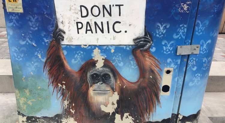 A scuffed painting on what appears to be a bin. The painting is of an orangutan holding up a sign saying "Don't Panic".