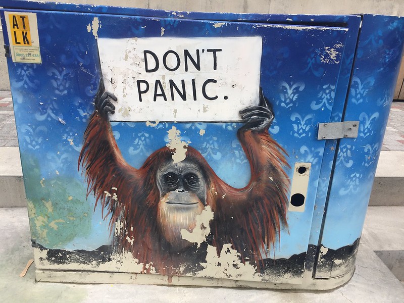 A scuffed painting on what appears to be a bin. The painting is of an orangutan holding up a sign saying "Don't Panic".